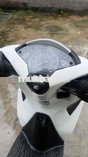 Honda SH 150 CBS 2019 Trắng