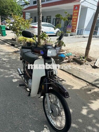Honda Dream Nâu trắng