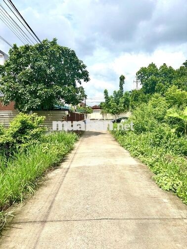 Gả gấp cho chủ mới đường Nhữ Tiến Hiền 230m2 có 200 thổ giá 745tr