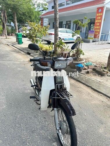 Honda Dream Nâu trắng