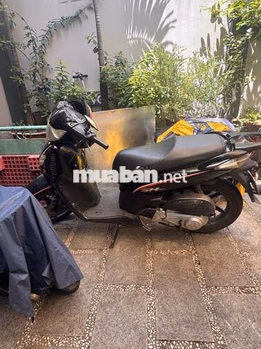 Honda SH Đen Xe tay ga