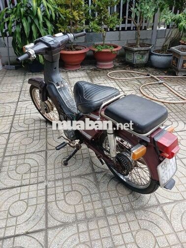 Honda Cub 2024 Đỏ Tốt