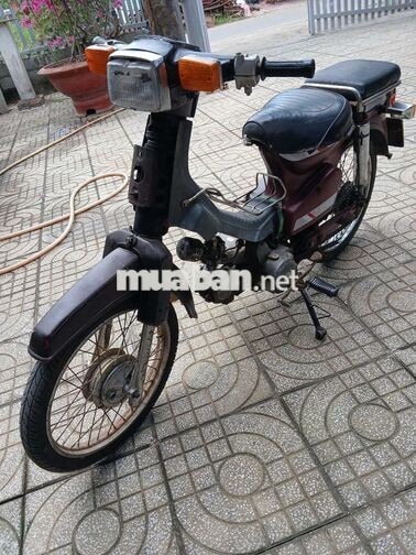 Honda Cub 2024 Đỏ Tốt