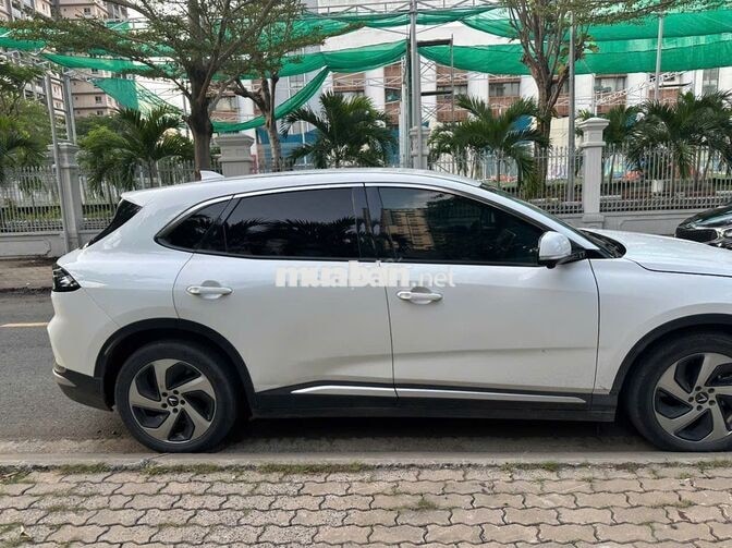 Chính chủ bán VinFast VF8 Trắng 2024 Odo 62.638km