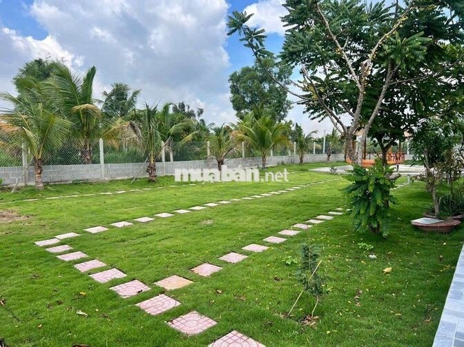 Hàng Vip, Nhà vườn View Sông cực đẹp, 1000m² giá 2.9 tỷ