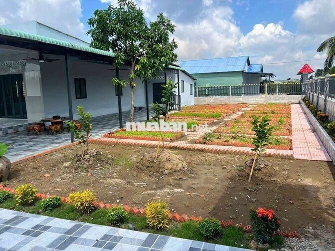 Hàng Vip, Nhà vườn View Sông cực đẹp, 1000m² giá 2.9 tỷ