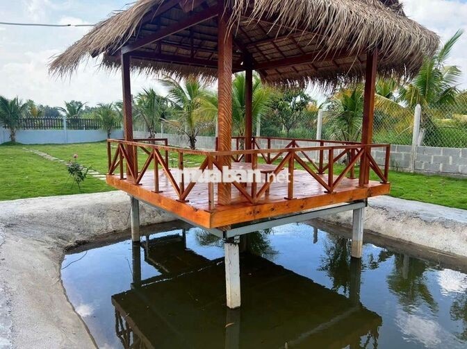 Hàng Vip, Nhà vườn View Sông cực đẹp, 1000m² giá 2.9 tỷ