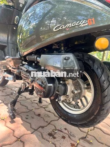 Xe tay ga Vespa 50cc không cần bằng lái