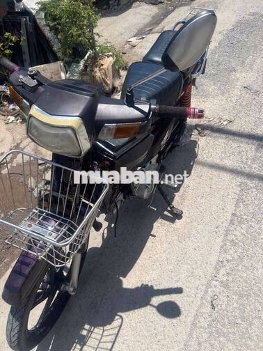 Honda Dream Tím Số sàn