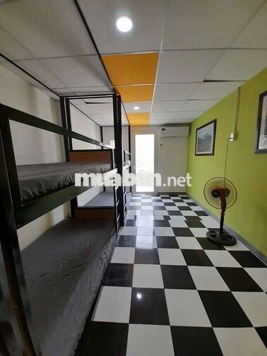 Phòng dorm giường tầng ở chung  cho thuê theo tháng