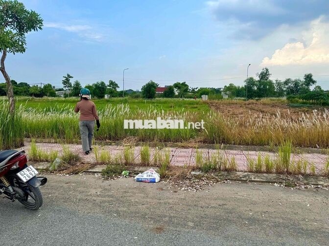 Bán đất 100m2, Thị trấn Đức Hòa, Long An