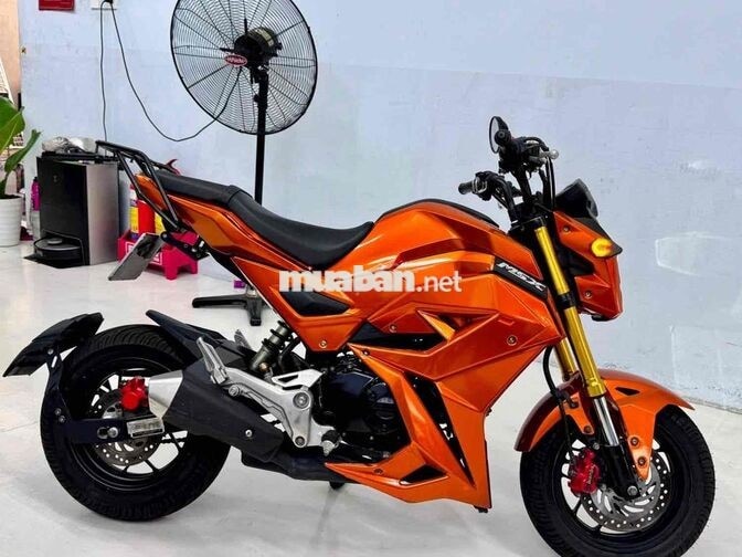 Honda MSX125 Côn tay Cam Đã bảo dưỡng