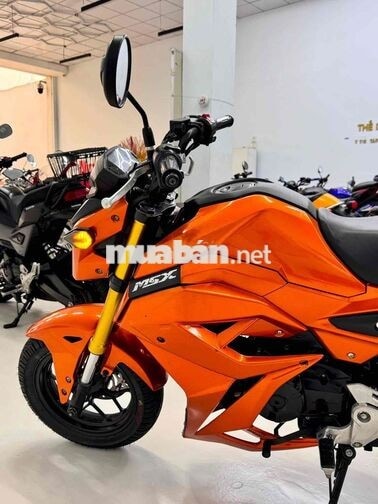 Honda MSX125 Côn tay Cam Đã bảo dưỡng