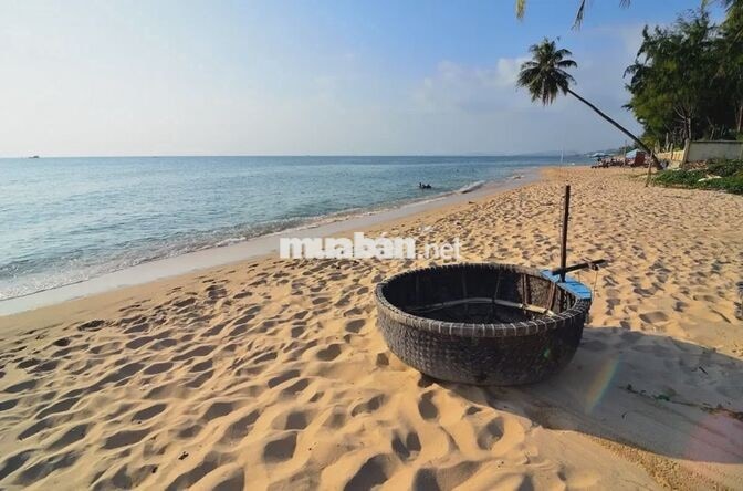 🏝️ BÁN NGỘP Ngang 7m Đất Chợ Lộc An giá chỉ 1ty68 – CÁCH BIỂN CHỈ 300M