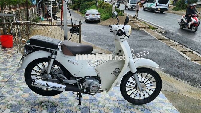 Cup 50cc 2022 Trắng bs 49