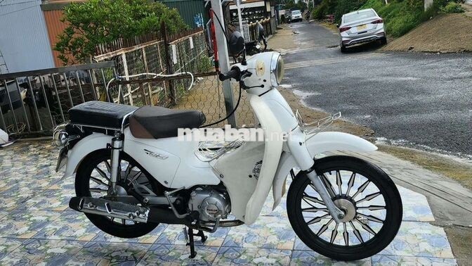 Cup 50cc 2022 Trắng bs 49