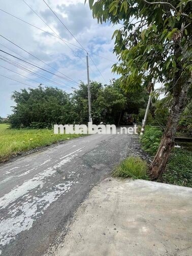 🌿 BÁN ĐẤT 208,5M² – THỔ CƯ TOÀN BỘ – HẺM XE DU LỊCH – CÓ CẦU RIÊNG