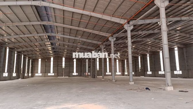 Cho thuê kho xưởng 3000m2. Giá 2.8 đô/1m2.