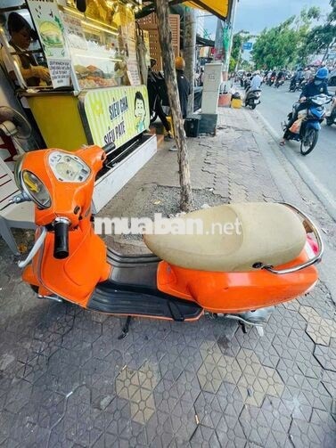Piaggio Vespa Cam Xe tay ga