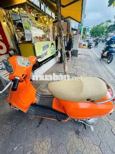 Piaggio Vespa Cam Xe tay ga