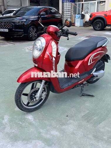 Scoopy 50cc không cần bằng lái