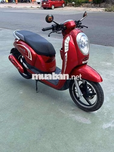 Scoopy 50cc không cần bằng lái