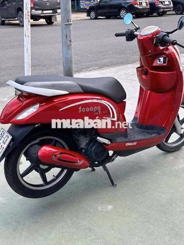 Scoopy 50cc không cần bằng lái