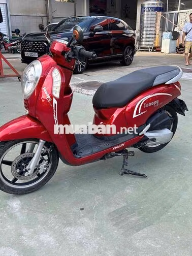 Scoopy 50cc không cần bằng lái