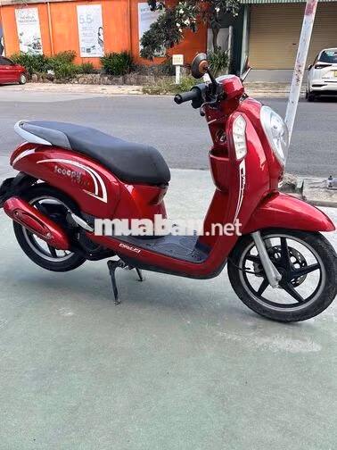 Scoopy 50cc không cần bằng lái