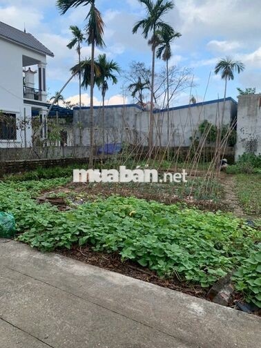 Chính chủ cần bán 62m thổ cư ở Hi Tái ( gần cầu Đen )