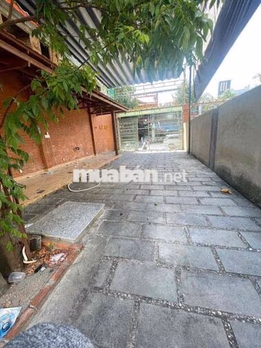 Cho Thuê Nhà Mặt Tiền Bũu Đoá Phước Long Nha Trang Đường Rộng 18m
