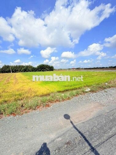 Hàng thơm, chỉ 400tr sở hưu 142m² đất thổ đường nhựa An Hòa