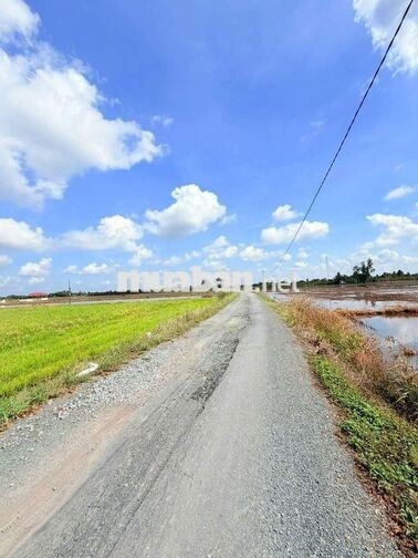 Hàng thơm, chỉ 400tr sở hưu 142m² đất thổ đường nhựa An Hòa