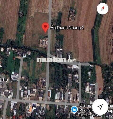 CHÍNH CHỦ BÁN ĐẤT 1.827,3M² GÒ CÔNG ĐÔNG – SỔ RIÊNG, GIÁ 1,5 TỶ