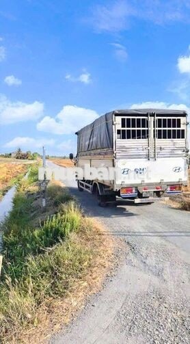 Hàng thơm, chỉ 400tr sở hưu 142m² đất thổ đường nhựa An Hòa
