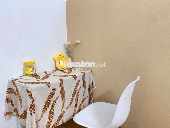 CHO THUÊ CĂN HỘ TÁCH BẾP NGAY VƯỜN LÀI LÊ TRỌNG TẤN ÂU CƠ LUỸ BÁN BÍCH