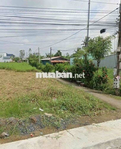 CHÍNH CHỦ BÁN ĐẤT 1.827,3M² GÒ CÔNG ĐÔNG – SỔ RIÊNG, GIÁ 1,5 TỶ