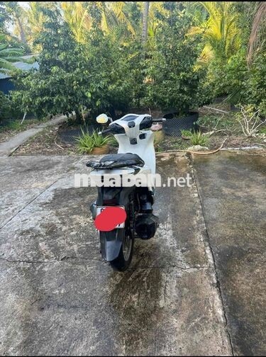 Honda SH 150 CBS 2020 Trắng