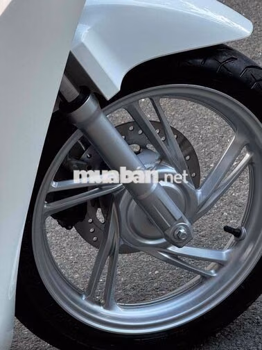 Honda SH 160i ABS 2026 Trắng đen spoty