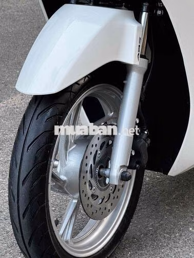 Honda SH 160i ABS 2026 Trắng đen spoty