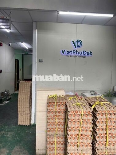 Nhân Viên Sản Xuất Thực Phẩm- Quận Tân Phú (HCM)