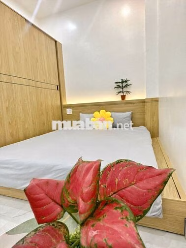 CHO THUÊ CĂN HỘ 1 PHÒNG NGỦ SIÊU RỘNG KHU VỰC PHƯỜNG 9