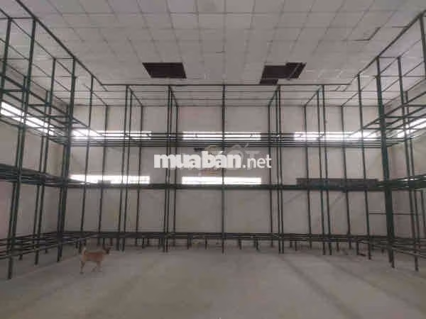 CHO THUÊ KHO - Trường Sơn, P15, Q10 - Nền bê tông, cửa cuốn ~ 200m2