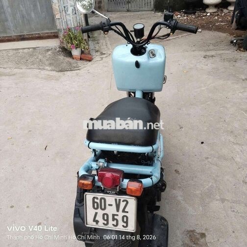 Honda N2 2006 Xanh