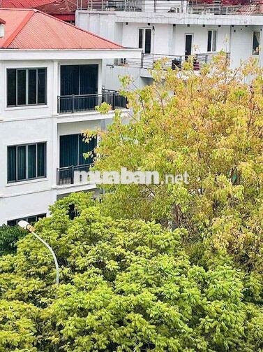 CHIÍNH CHỦ TÔI BÁN CĂN HỘ GÓC ĐẸP TẠI PHỐ CHÙA LÁNG HÀ NỘI
