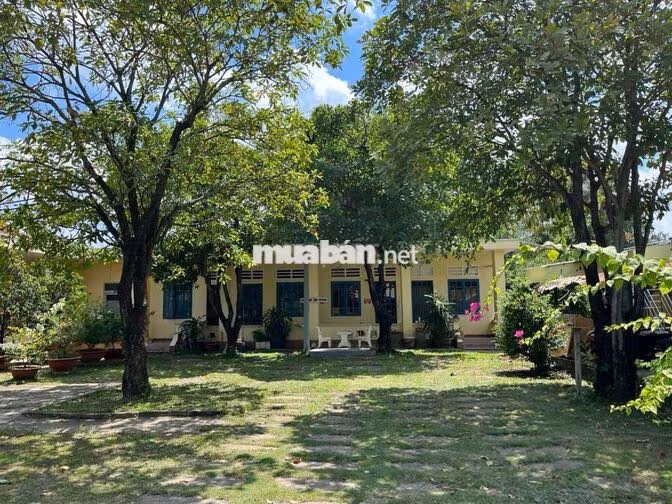 NHÂN VIÊN KẾ TOÁN CHUỖI CỬA HÀNG