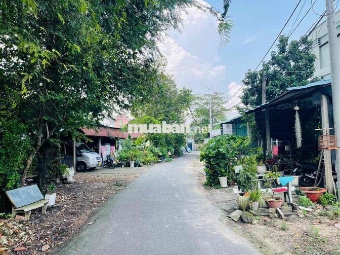 bán đất trung tâm Thị Trấn Củ Chi 354m2(11x31) giá 530tr sẵn thổ cư
