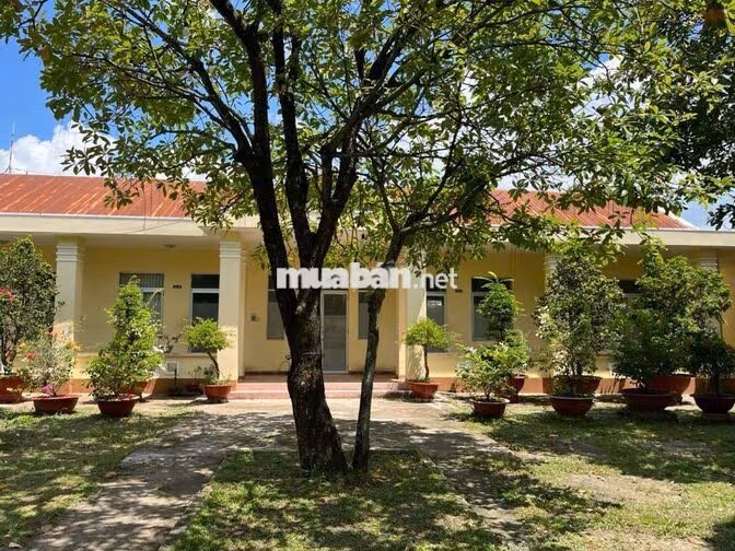 NHÂN VIÊN KẾ TOÁN CHUỖI CỬA HÀNG