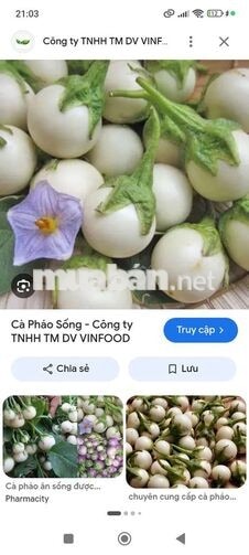 Tuyển 1 sip giao rau củ Bình Chánh