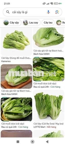 Tuyển 1 sip giao rau củ Bình Chánh